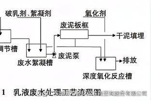 Shams：美国男篮巴黎奥运核心阵容是詹库杜帝塔+布克霍勒迪